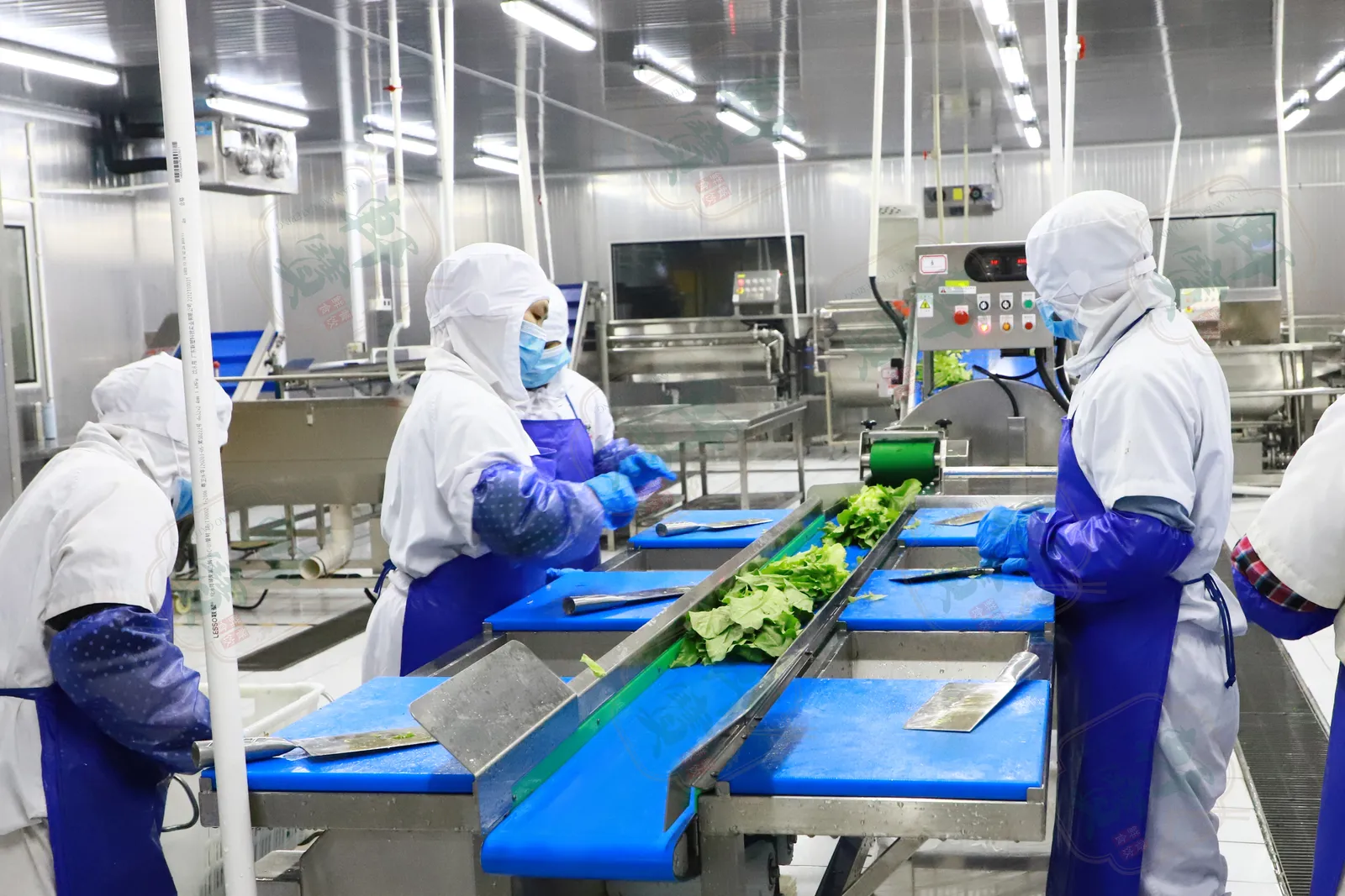 Prep & portioning